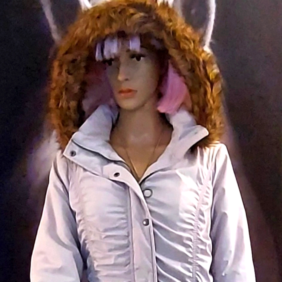 Article Com Winter Jacket